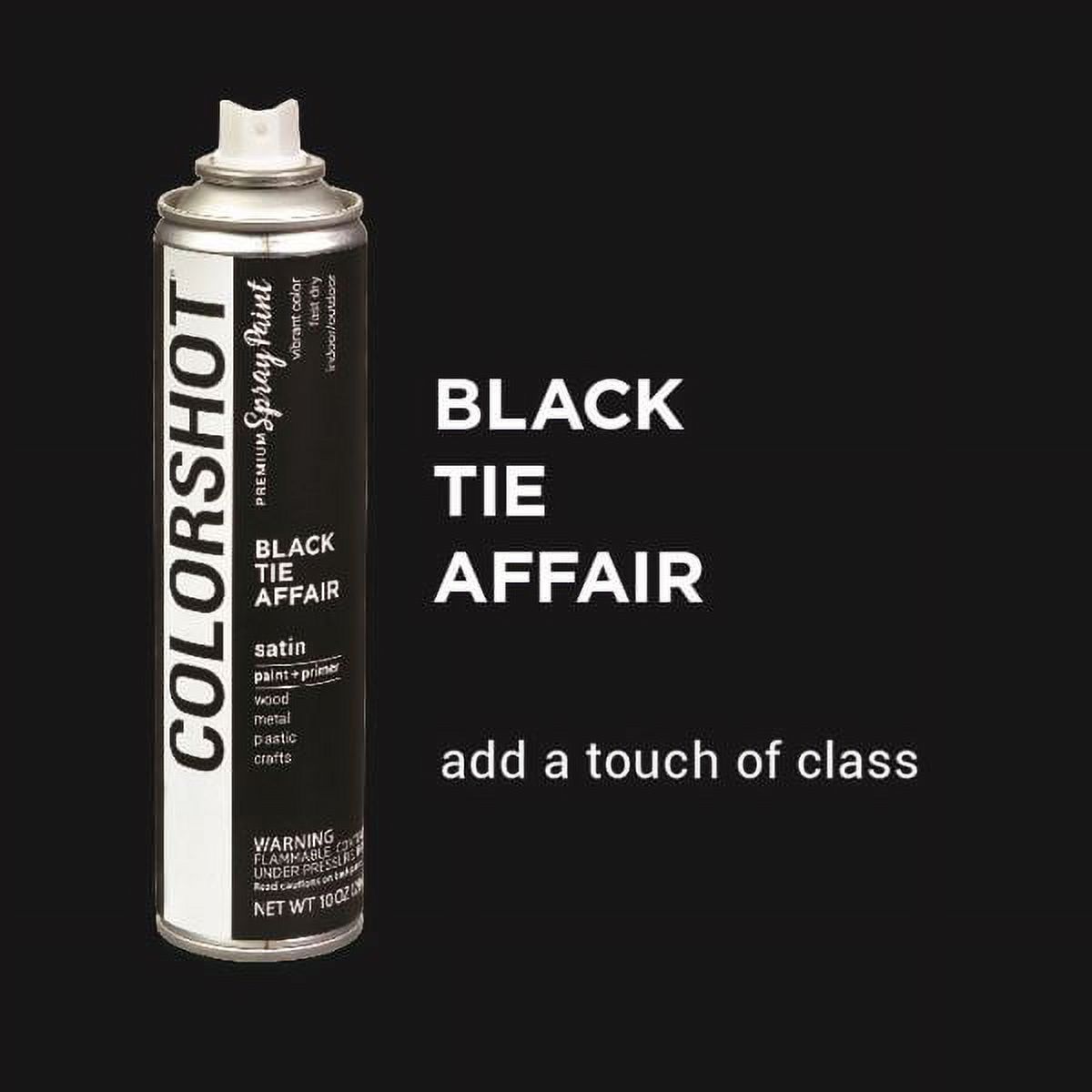 Colorshot Aerosol Spray Paint 10oz Black Tie Affair - Black - Satin